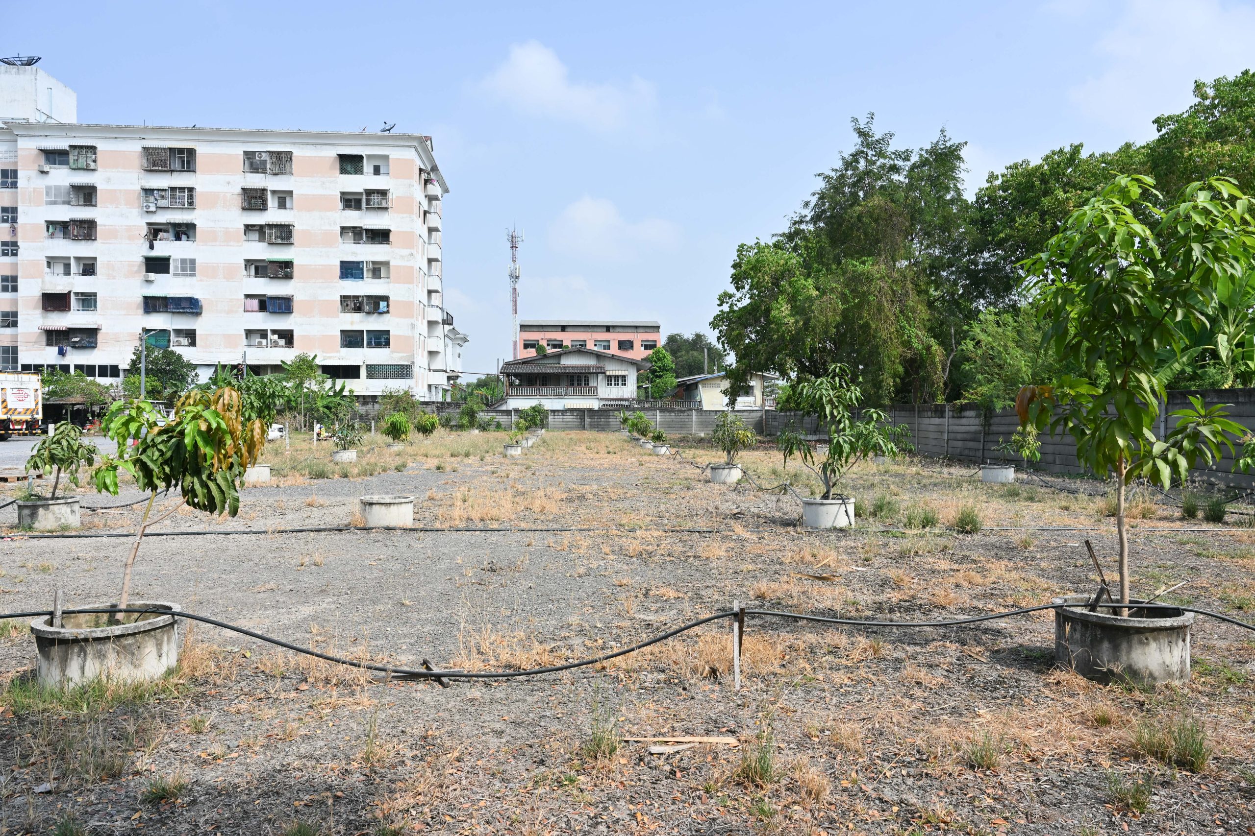 ZONE B รูปที่ 6