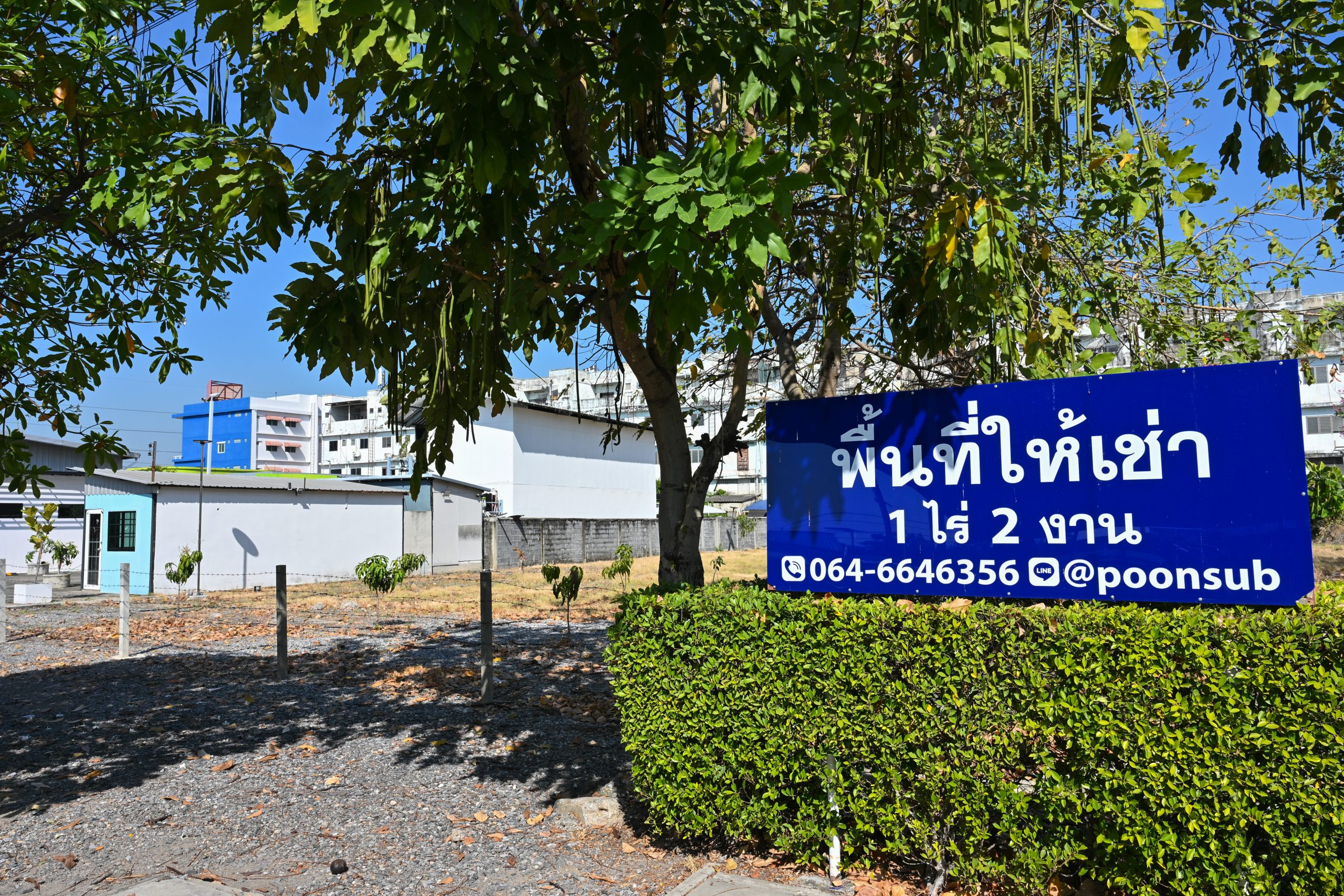 ZONE D รูปที่ 1