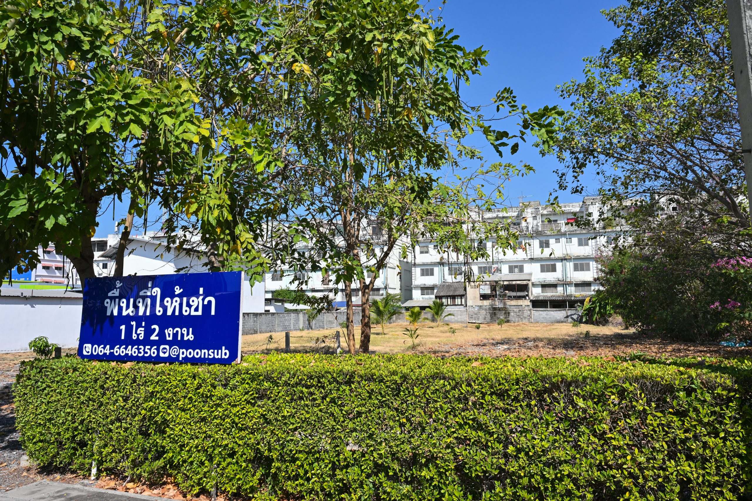 ZONE D รูปที่ 2