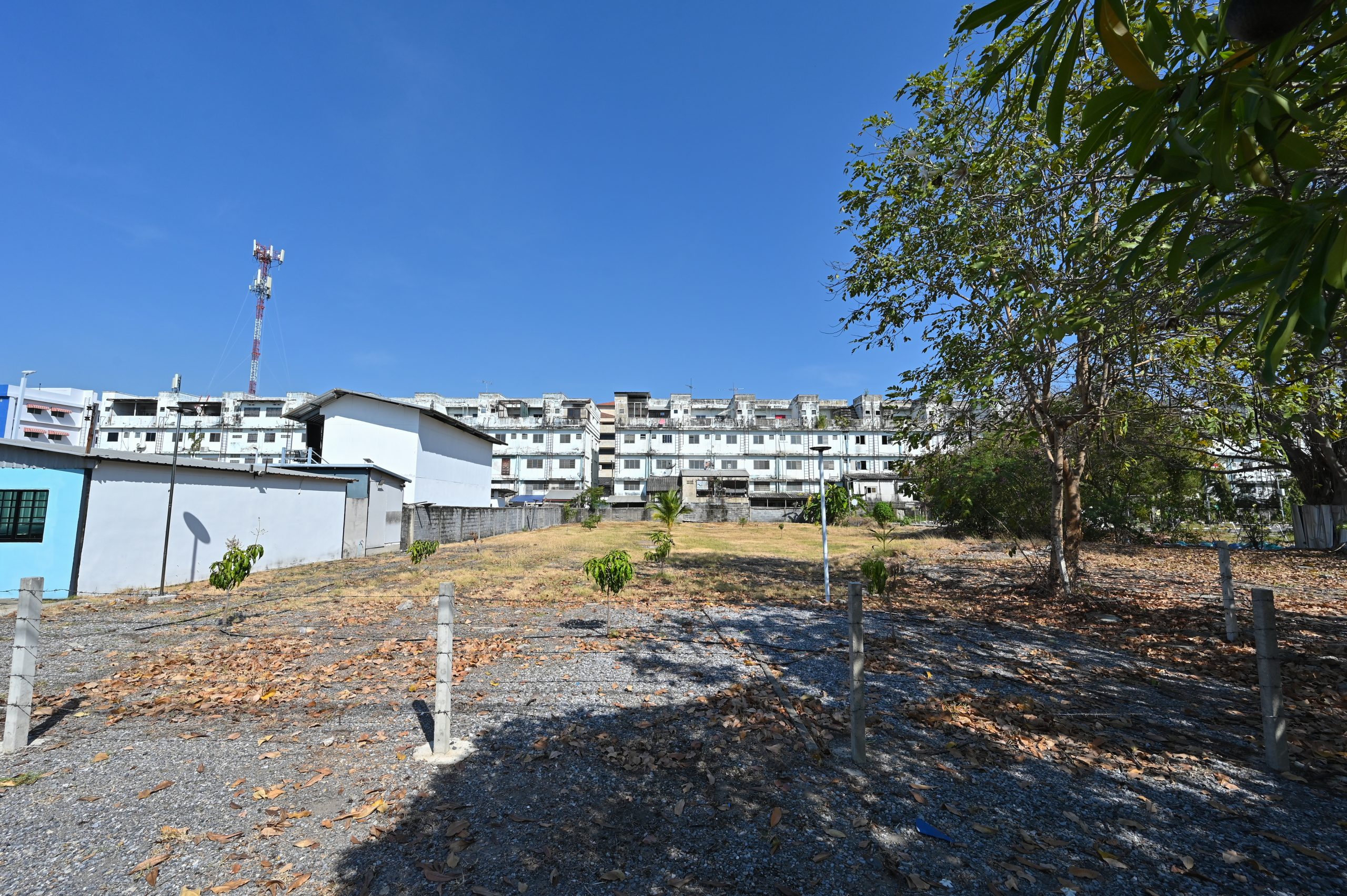 ZONE D รูปที่ 4