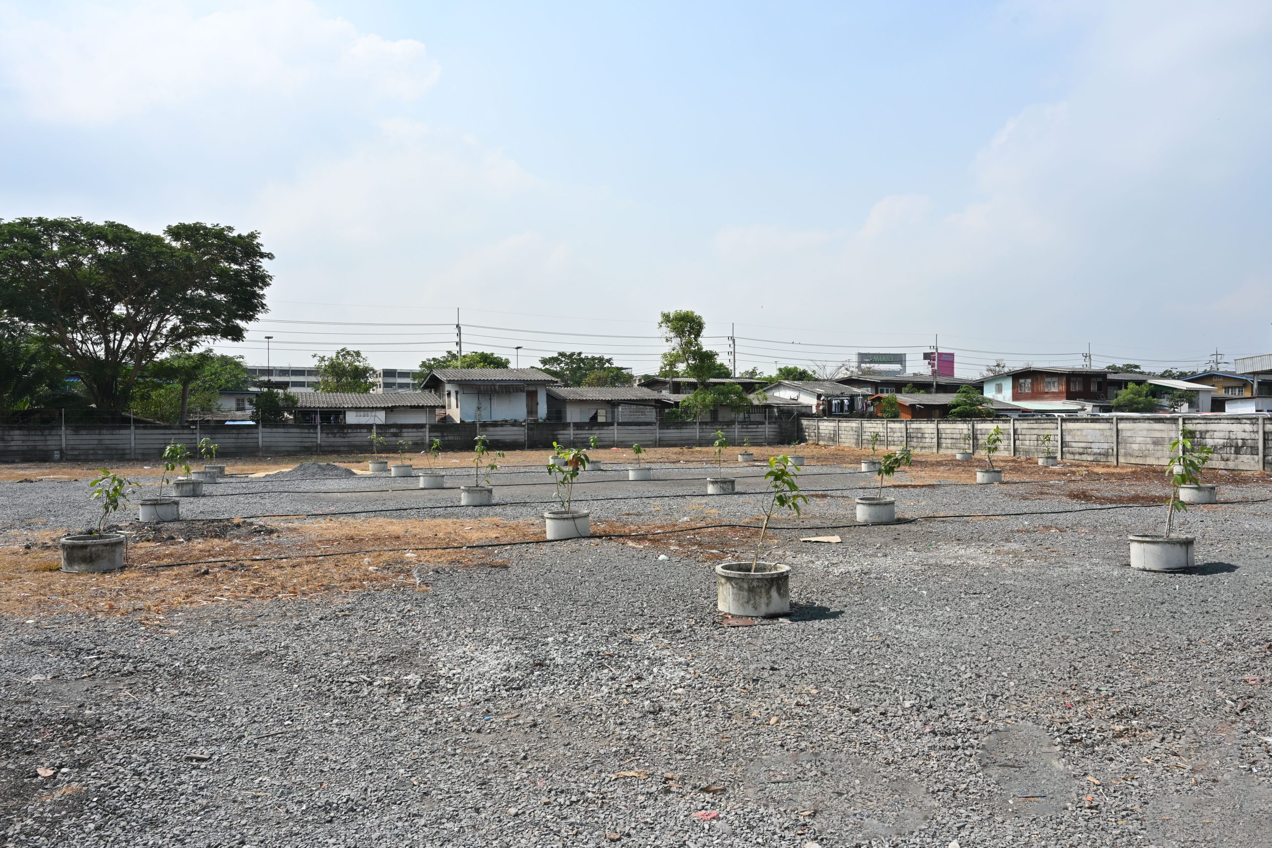 ZONE H รูปที่ 5